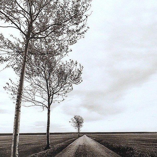 Wiepke Folkerts - La Route, Antiek en Kunst, Kunst | Designobjecten