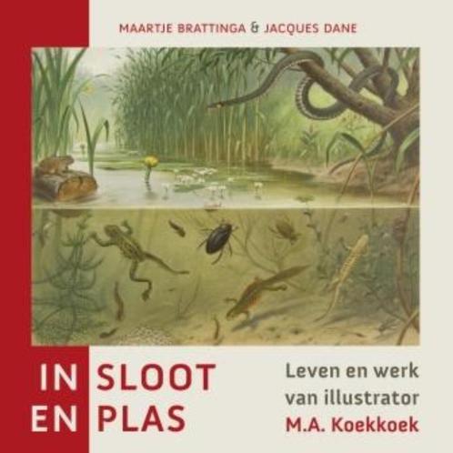 In Sloot En Plas 9789059776173 Maartje Brattinga, Boeken, Geschiedenis | Wereld, Gelezen, Verzenden