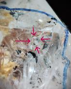 Verzamelobject: Verbazingwekkende zeldzame Herkimer-kwarts