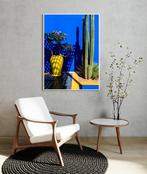 Dominik Valvo - Jardin Majorelle #6 (Marrakech 2024)