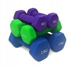 Dumbell combinatie set 10 kg totaal - met koffer, Ophalen of Verzenden, Nieuw