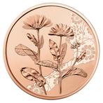 Oostenrijk 10 Euro Goudsbloem 2022, Verzenden