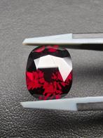 Rood Spinel - 6.34 ct - Antwerp Laboratory for Gemstone, Nieuw