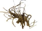 Driftwood Selected  DW43 - 50x30x28cm (Small drift wood), Dieren en Toebehoren, Vissen | Aquaria en Toebehoren, Ophalen of Verzenden