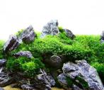 Colour Lace Rock 6-18cm - aquarium decoratie stenen, Verzenden, Nieuw, Plant(en), Steen of Hout