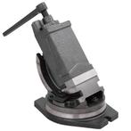 vidaXL Bankschroef met 2 assen kantelbaar 100 mm, Verzenden, Nieuw