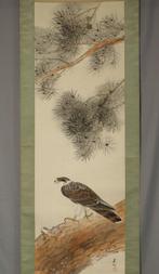 Hawk on a Pine Tree - With signature Eiho , Tomo-bako -, Antiek en Kunst