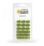 Citadel Colour Tufts Verdia Veldt (Warhammer nieuw), Hobby en Vrije tijd, Wargaming, Ophalen of Verzenden, Nieuw