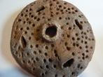 Paleolithisch Terracotta Werkgereedschap - 13.5 cm (Zonder, Antiek en Kunst