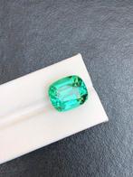 Zonder Minimumprijs Spodumeen - 24.42 ct - nternational, Nieuw