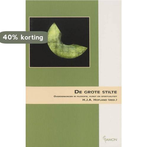 De grote stilte 9789055738144, Boeken, Filosofie, Gelezen, Verzenden