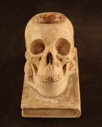 Beeld schedel - sculptuur, Memento Mori - 12 cm - Gips, Antiek en Kunst