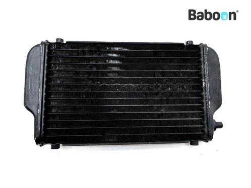 Radiateur Kawasaki EL 250 Eliminator 1988-1990 (EL250B), Motoren, Onderdelen | Kawasaki, Gebruikt, Verzenden