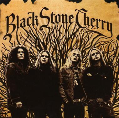 cd - Black Stone Cherry - Black Stone Cherry, Cd's en Dvd's, Cd's | Overige Cd's, Zo goed als nieuw, Verzenden