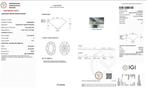 Ring - 18 karaat Witgoud - 3.27ct. tw. Diamant (Lab-grown) -, Nieuw