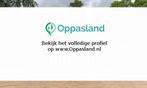 Lisanne Elizabeth Maria zoekt een oppas in Well., Vacatures, Vacatures | Thuiswerk