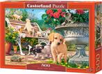 Hide and Seek Puzzel (500 stukjes) | Castorland - Puzzels, Hobby en Vrije tijd, Denksport en Puzzels, Verzenden, Nieuw