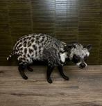 Afrikaanse Civet Taxidermie Opgezette Dieren By Max, Ophalen of Verzenden, Nieuw, Wild dier, Opgezet dier