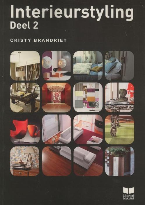 Interieurstyling 9789041509086 Cristy Brandriet, Boeken, Hobby en Vrije tijd, Zo goed als nieuw, Verzenden