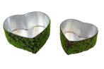 Mos hart, mosharten  planter hart micro moss set van 2, Hobby en Vrije tijd, Knutselen, Ophalen of Verzenden, Nieuw