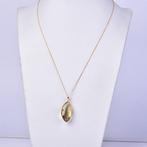 Zonder Minimumprijs - Ketting met hanger - 18 karaat Geel