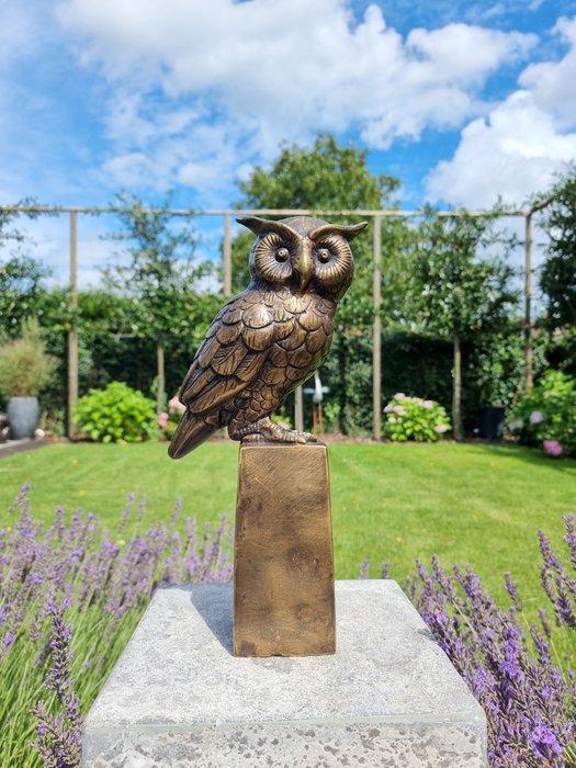 sculptuur, Wise Owl - 35 cm - Brons, Antiek en Kunst, Kunst | Designobjecten