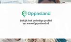 Puneet zoekt een oppas in Hoofddorp voor 1 kind op maanda...