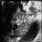 LP gebruikt - Decline Of The I - Rebellion (Poland, 2015,..., Verzenden, Zo goed als nieuw