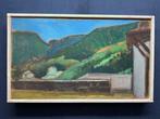Fosco Bertani (1949) - Paesaggio