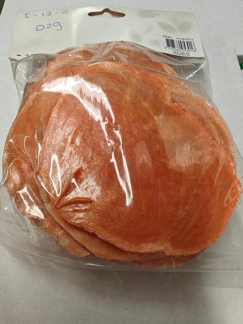 Capiz Camar schelpen oranje-goud, 250 gram, Hobby en Vrije tijd, Knutselen, Nieuw, Ophalen of Verzenden