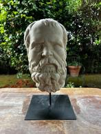 sculptuur, Testa del filosofo Socrate - 39 cm - marmeren