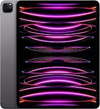 Apple iPad Pro 12,9 128GB [wifi, model 2022] spacegrijs, Computers en Software, Apple iPads, Grijs, Gebruikt, Wi-Fi, 128 GB, Verzenden