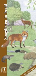 Zoogdieren in beeld / In beeld / 25 9789050113687, Verzenden, Gelezen, Kees de Heer
