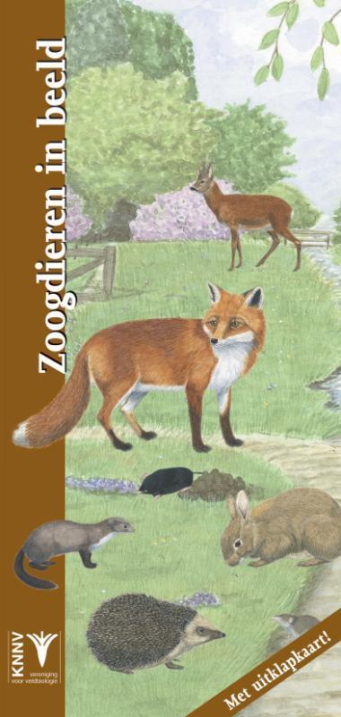 Zoogdieren in beeld / In beeld / 25 9789050113687, Boeken, Hobby en Vrije tijd, Gelezen, Verzenden