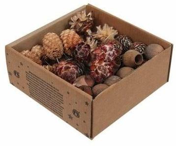 Leucadendron Assortiment op draad Naturel 50 stuks beschikbaar voor biedingen