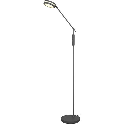 LED Vloerlamp - Trion Franco - 6.5W - Aanpasbare Kleur -, Huis en Inrichting, Lampen | Vloerlampen, Nieuw, Metaal, Ophalen of Verzenden