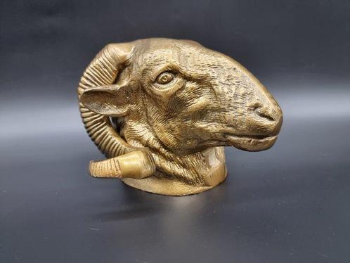 Beeld, Ram Head Gold Metal - 20 cm - Metaal, Antiek en Kunst, Kunst | Designobjecten