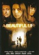 Beautiful life, a - DVD, Cd's en Dvd's, Dvd's | Drama, Verzenden