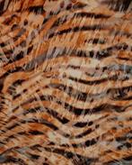 Katoen/Polyester Stretch Diffused Tiger Oranje, Nieuw, Oranje