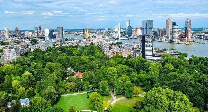 Snel Je Huis of Appartement Verkopen in Rotterdam?, Diensten en Vakmensen, Makelaars en Taxateurs