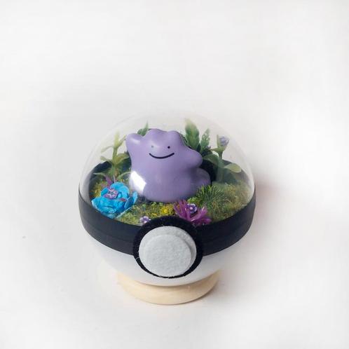 De Elektrische Muis Pokémon Terrarium-Klein (Diversen) NIEUW, Verzamelen, Beelden en Beeldjes, Nieuw, Ophalen of Verzenden