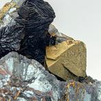 Goudgele octaëdrische pyriet in geode van ematiet, Brosso.