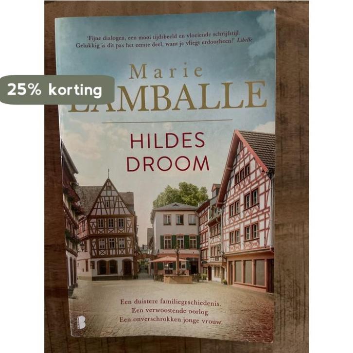 Hildes droom 9789049201678 Marie Lamballe, Boeken, Literatuur, Gelezen, Verzenden