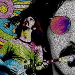 David Law - Crypto Zappa Live