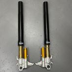 Original Ducati Desmosedici FORK LEG ASSY, SET Öhlins - 3452, Nieuw