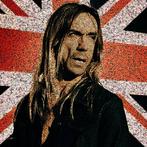 David Law (1967) - Crypto Iggy Pop VIII - Format XL 60x60