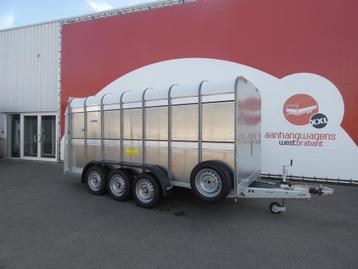 Op voorraad! Ifor-Williams Veetrailer tridemas 427x178x183cm beschikbaar voor biedingen