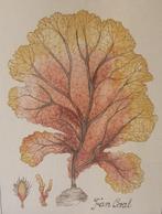 Exclusieve stoffen Maritiem Herbarium -300x280cm-
