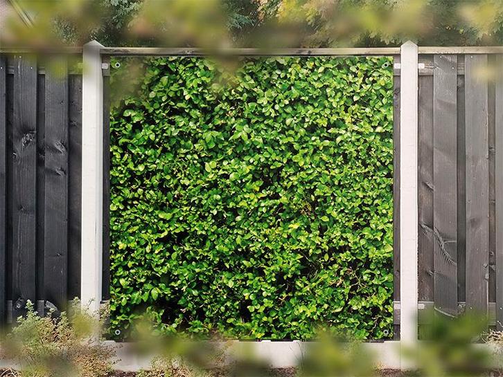 NR 1404: Tuinposter Hedera 180x180cm, Tuin en Terras, Tuinwanddecoratie, Nieuw