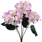 Hortensia groot hydrangea bush new ivory-lila 49 cm. groot!, Huis en Inrichting, Ophalen of Verzenden, Nieuw